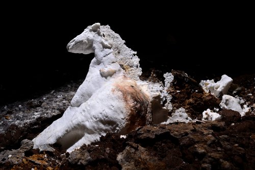 Gecko cave (Botswana) - "Le cheval" : bloc d'aragonite massive tombée au sol(SP-25-1050)