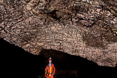 Gcwihaba cave (Botswana) - Plafond en "peau d'éléphant" (vue ensemble)(SP-25-1074)
