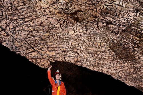 Gcwihaba cave (Botswana) - Plafond en "peau d'éléphant" (détail)(SP-25-1078)