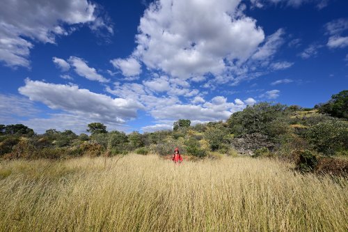 Gcwihaba cave (Botswana) - Vue de la colline où s'ouvre la cavité.(SP-25-1127)