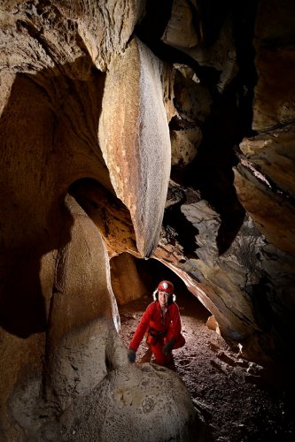 Gcwihaba cave (Botswana) - Passage bas avec spéléo débouchant sur une stalactite blanche corrodée(SP-25-1185)