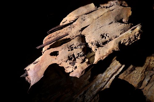 Gcwihaba cave (Botswana) -  Lame rocheuse au plafond (monstre)(SP-25-1187)