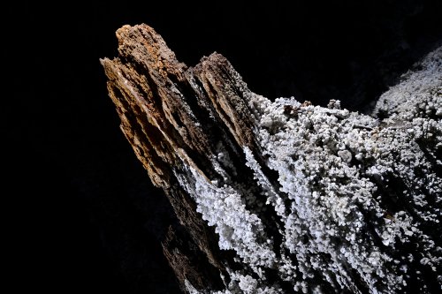 Wadoum cave (Botswana) - Lame rocheuse partiellement recouverte de cristallisations(SP-25-1214.)