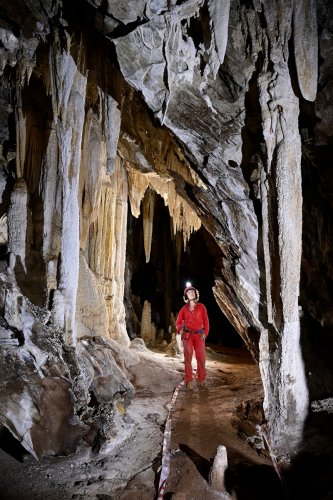 Wadoum cave (Botswana) - Galerie concrétionnée avec piliers blancs(SP-25-1240)