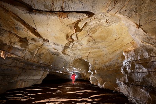 Grotte des Claris (Gard) - Spéléo dans galerie avec gours au sol et coupole au plafond(SP-25-2354)
