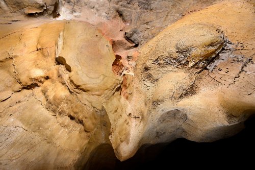 Grotte des Claris (Gard) - Deux coupoles au plafond d'une galerie : les chauves-souris ont corrodé celle de droite, alors que celle de gauche est préservée (plan rapprroché)(SP-25-2362)