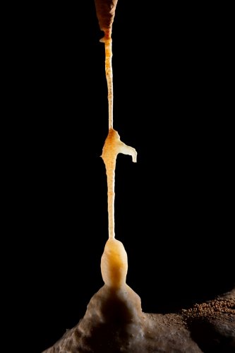 Grotte Flandin (Ardèche) - Petite stalactite avec excentrique, jointive avec une stalagmite (SP-25-2380)