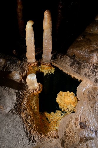 Grotte Flandin (Ardèche) - Petit gour avec cristaux et stalagmites(SP-25-2385)