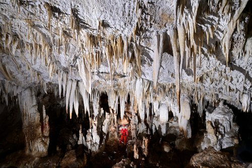 Caverna Terciopelo ( Guanacaste, Costa Rica) -  Partie inférieure de la salle principale avec un plafond concrétionné (personnage en fond).(SP-25-2513)