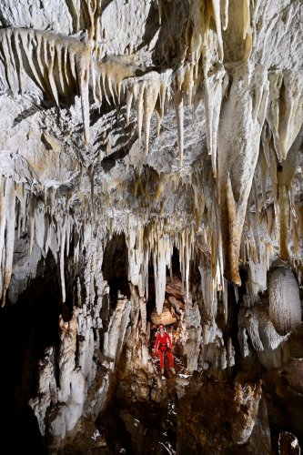 Caverna Terciopelo ( Guanacaste, Costa Rica) -  Partie inférieure de la salle principale avec plafond concrétionné (personnage au fond).(SP-25-2520)