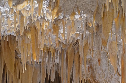 Caverna Terciopelo ( Guanacaste, Costa Rica) - Stalactites claires au plafond de la salle principale(SP-25-2535)