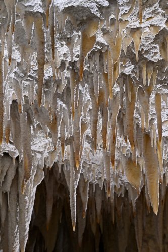 Caverna Terciopelo ( Guanacaste, Costa Rica) - Stalactites au plafond de la salle principale(SP-25-2538)