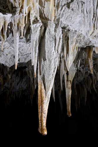 Caverna Terciopelo ( Guanacaste, Costa Rica) - Stalactite massive (la "trompe d'éléphant") au plafond de la salle principale(SP-25-2540)