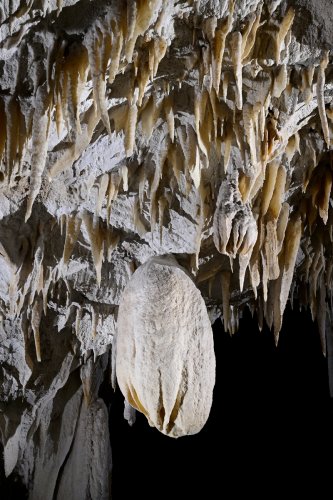 Caverna Terciopelo ( Guanacaste, Costa Rica) - Concrétion massive (la papaye) dans la salle principale(SP-25-2542)