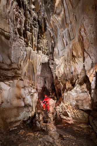 Caverna Terciopelo ( Guanacaste, Costa Rica) - Paroi concrétionnée dans la salle n°2 avec personnage.(SP-25-2547)