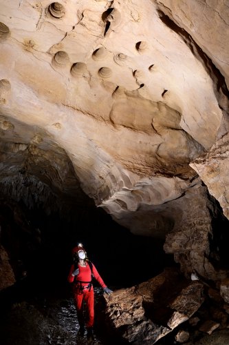 Caverna de Venado (Alajuela, Costa Rica) -  Galerie d'entrée avec "bell holes"  (formes de corrosion dues aux chauves-souris) au plafond au dessus de la rivière(SP-25-2570)