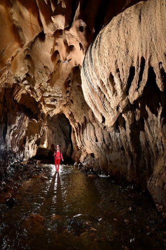 Caverna de Venado (Alajuela, Costa Rica) - Progression dans la rivière (avec méduse en premier plan) (SP-25-2601)