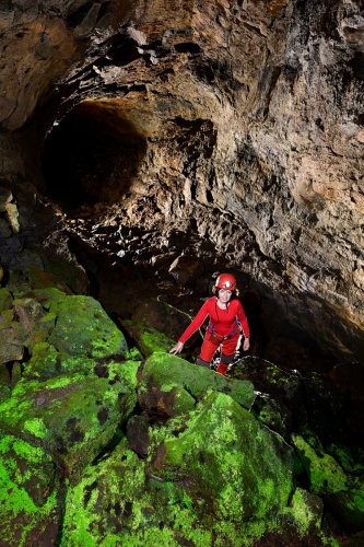 Tunel Royal Palm (Santa Cruz, Galapagos, Equateur) - Entrée aménagée du tube de lave(SP-26-0056)