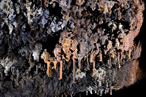 Tunel del Alba (Santa Cruz, Galapagos, Equateur) - Ensemble coloré de stalactites dans un tube de lave(SP-26-0113)