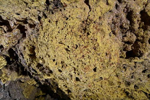Cueva de Sucre (Isabela, Galapagos, Equateur) - Détail de bactéries jaunes au plafond d'un tube de lave (plan serré)(SP-26-0184)