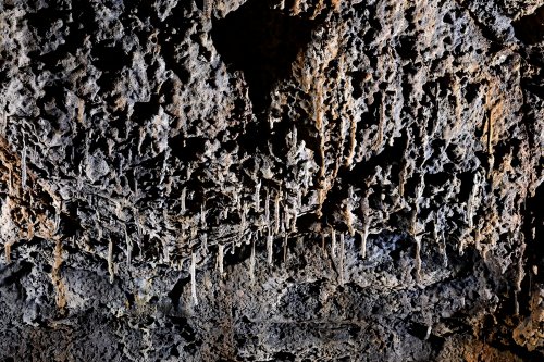 Tunel del Alba (Santa Cruz, Galapagos, Equateur) - Plafond avec des stalactites de lave .(SP-26-0199)