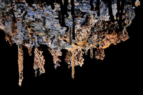 Tunel del Alba (Santa Cruz, Galapagos, Equateur) - Ensemble de stalactites colorées dans un tube de lave.(SP-26-0208)