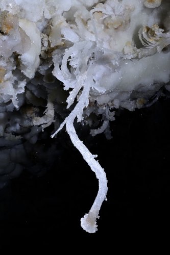 Grotte de Geophysicheskaya (Turkménistan) - Fine excentrique de gypse (cadrage serré)(SP-26-0336)