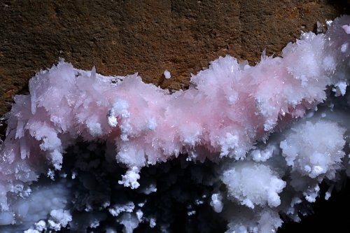 Grotte de Geophysicheskaya (Turkménistan) - Frange de cristaux de gypse rose sur une paroi rouge.(SP-26-0378)