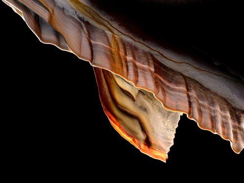 Grotte de Geophysicheskaya (Turkménistan)  - Galerie Rouge : draperies colorées(SP-26-0402-Sharpen)