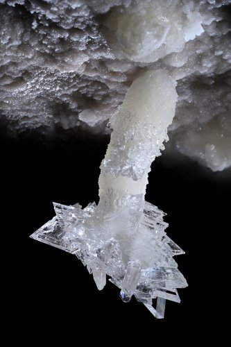 Grotte de Geophysicheskaya (Turkménistan) - Concrétion d'aragonite coralloïde dont la pointe est recouverte de cristaux de gypse (SP-26-0631)
