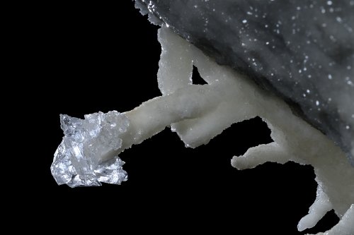 Grotte de Geophysicheskaya (Turkménistan) - Concrétion d'aragonite coralloïde dont la pointe est recouverte de petits cristaux de gypse (SP-26-0632)
