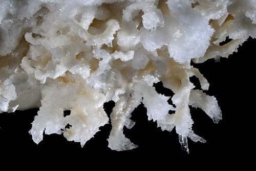 Grotte de Geophysicheskaya (Turkménistan) -  Détail de  concrétions d'aragonite jaune mélangées à des cristaux de gypse(SP-26-0643-Sharpen)