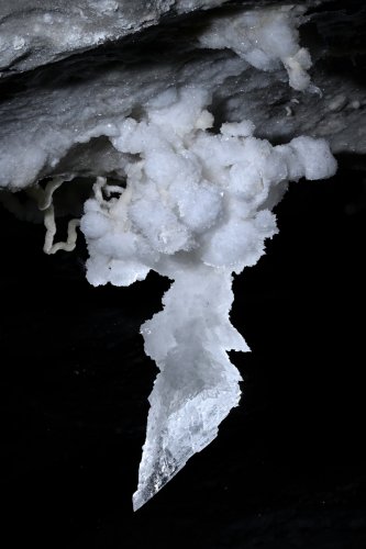 Grotte de Geophysicheskaya (Turkménistan) - Stalactite de gypse avec cristaux translucides à l'extrémite (SP-26-0652)