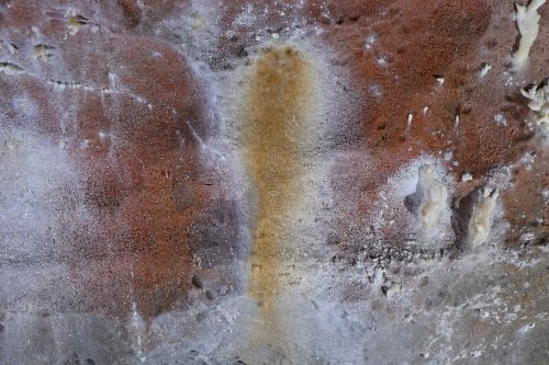 Grotte de Geophysicheskaya (Turkménistan) -  Trainée jaune sur une paroi lisse rouge et blanche(SP-26-0659)