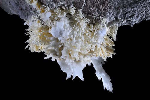 Grotte de Geophysicheskaya (Turkménistan) -  Bouquet d'aragonite jaune avec cristaux de gypse  (SP-26-0669)