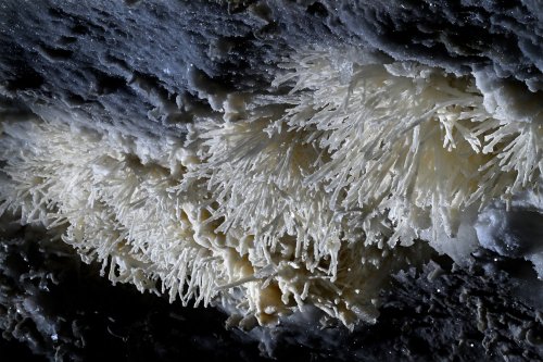 Grotte de Geophysicheskaya (Turkménistan) -  Ensemble de  bouquets d'aragonite coralloïde mélangés à des cristaux de gypse(SP-26-0683)