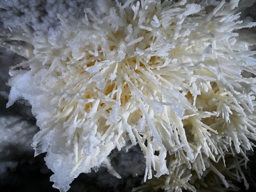 Grotte de Geophysicheskaya (Turkménistan) - Bouquet d'aragonite jaune coralloïde avec cristaux de gypse translucides  (SP-26-0690)