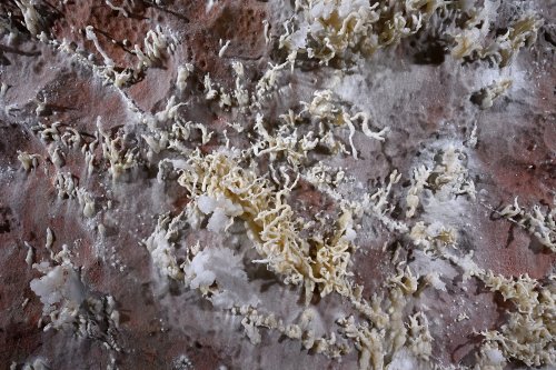 Grotte de Geophysicheskaya (Turkménistan) -  Plafond rose avec bouquets d'aragonite coralloïde jaune et cristaux de gypse(SP-26-0696)