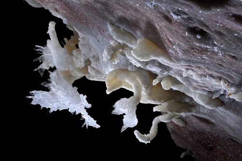 Grotte de Geophysicheskaya (Turkménistan) - Ensemble de concrétions de gypse et d'aragonite sur un plafond rose(SP-26-0700)