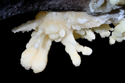 Grotte de Geophysicheskaya (Turkménistan) - Détail de petites concrétions d'aragonite en forme de doigts(SP-26-0717)