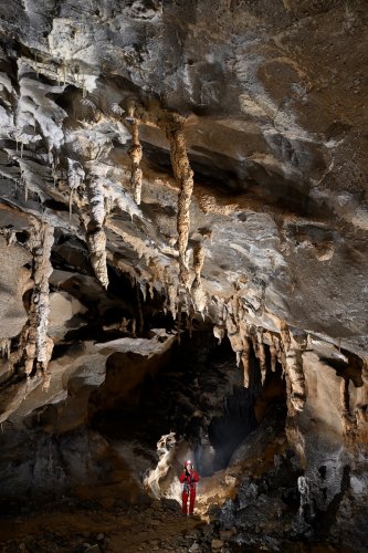 Cueva Coventosa (Cantabrie, Espagne) - Stalactites massives tordues au plafond d'une galerie(SP-26-0883)