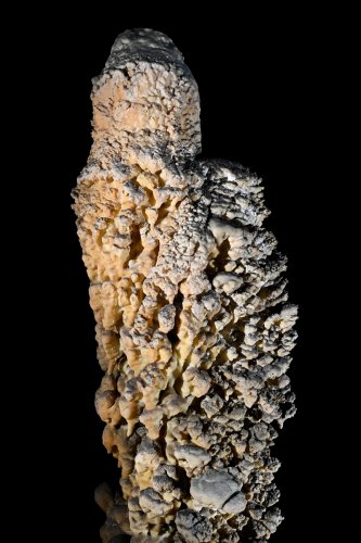 Cueva Coventosa (Cantabrie, Espagne) - Sommet d'une stalagmite avec excroissances(SP-26-0907)