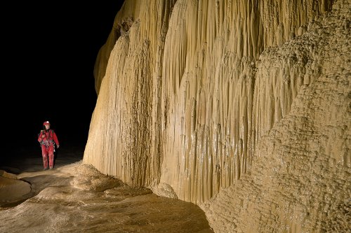 Cueva Canuela (Cantabrie, Espagne) - Galerie de l'arche. Paroi couverte de coulées de moonmilk calcifiées avec rainures (personnage de face à gauche). (SP-26-1029.)