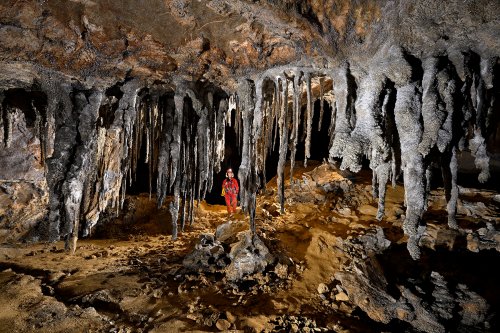 Cueva Canuela (Cantabrie, Espagne) - Galeria de las sierras : ensemble de stalactites massives tordues par le vent (personnage en fond).(SP-26-1030)