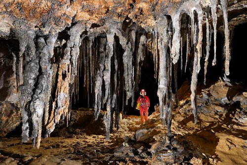Cueva Canuela (Cantabrie, Espagne) - Galeria de las sierras : ensemble de stalactites massives tordues par le vent (personnage au milieu).(SP-26-1034)