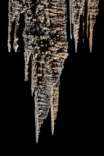 Cueva Canuela (Cantabrie, Espagne) - Galeria de las sierras : stalactite plate en forme de scie formée par le vent.(SP-26-1037)