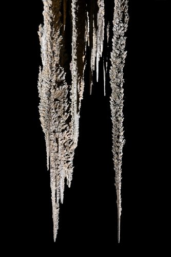 Cueva Canuela (Cantabrie, Espagne) - Galeria de las sierras : stalactites plates et pointues en forme de scie formée par le vent.(SP-26-1038)