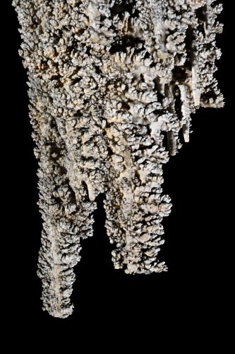 Cueva Canuela (Cantabrie, Espagne) - Galeria de las sierras : stalactites plates en forme de scie formée par le vent.(SP-26-1044)