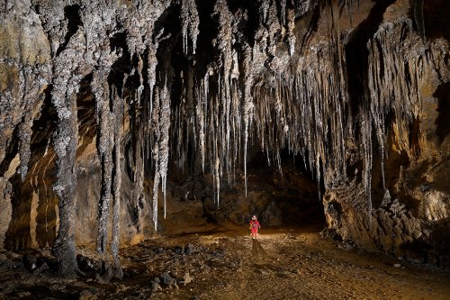 Cueva Canuela (Cantabrie, Espagne) - Grande galerie avec longues stalactites grises plates formées par le vent (personnage au milieu).(SP-26-1061)