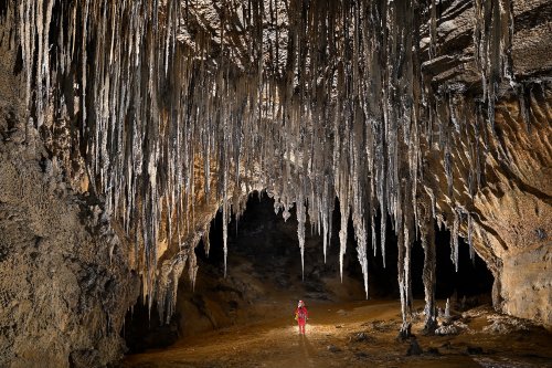 Cueva Canuela (Cantabrie, Espagne) - Grande galerie avec longues stalactites grises plates formées par le vent (personnage au milieu) (horizontale)(SP-26-1063)